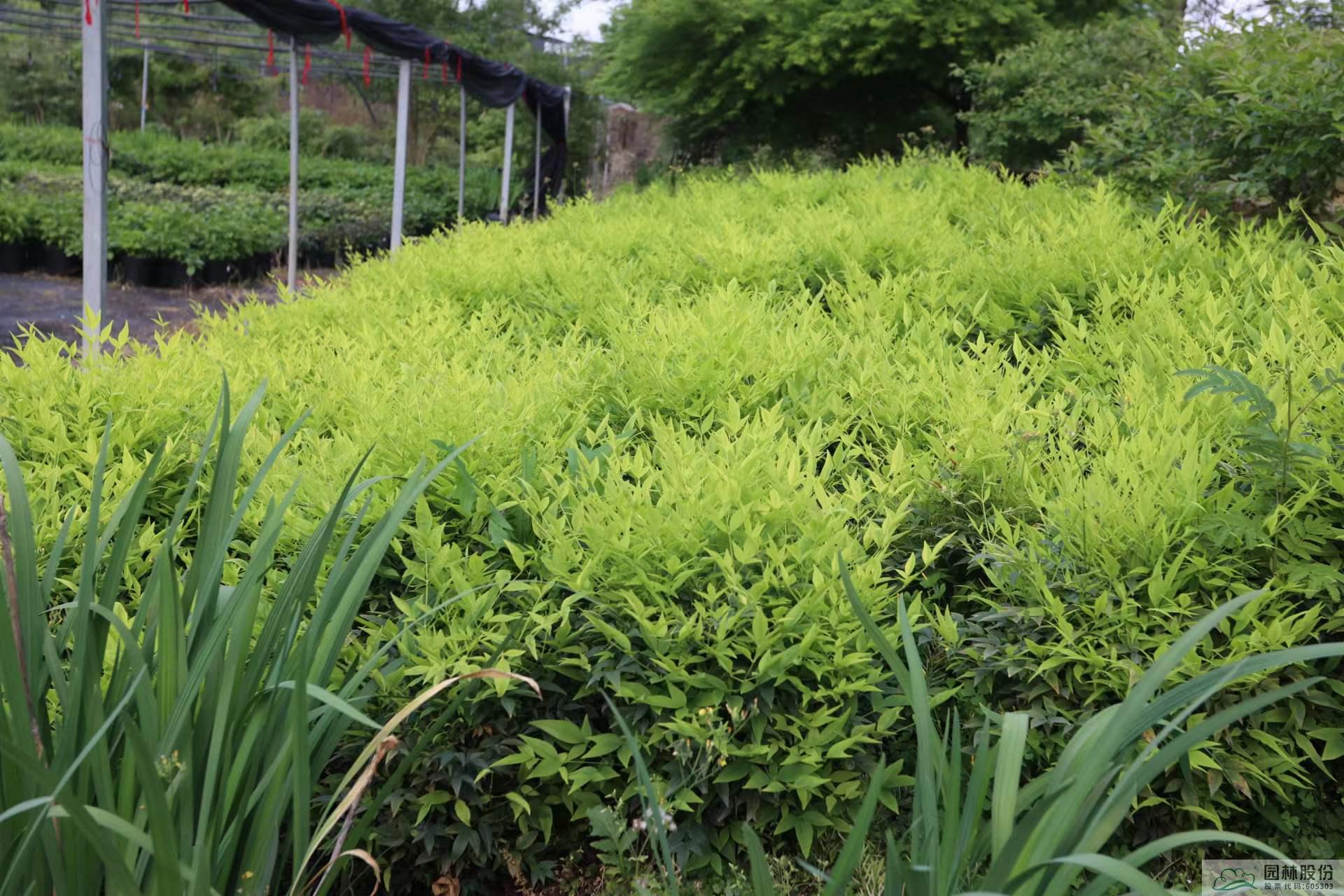 彩运网(中国游)官方网站