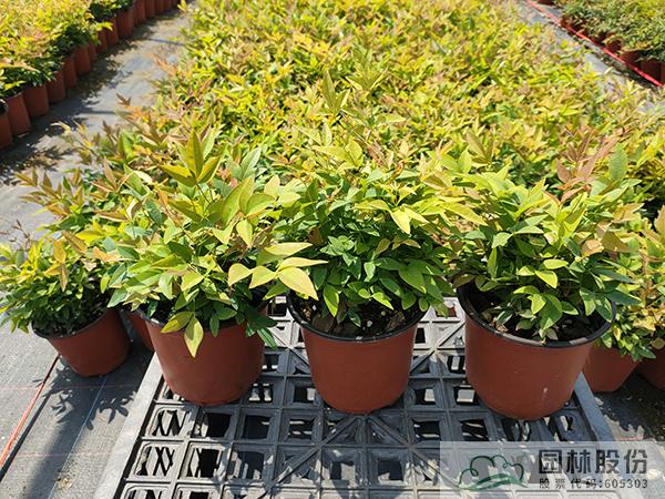 彩运网(中国游)官方网站