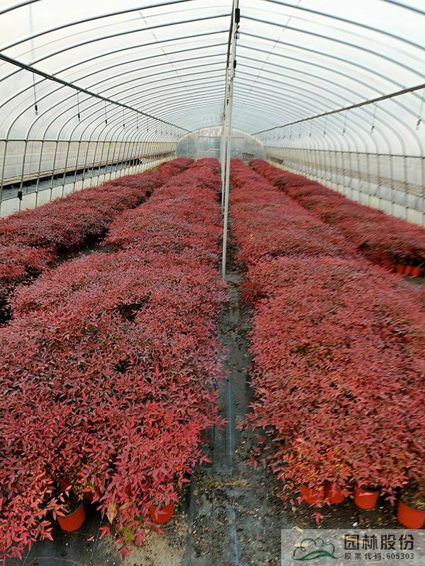 彩运网(中国游)官方网站