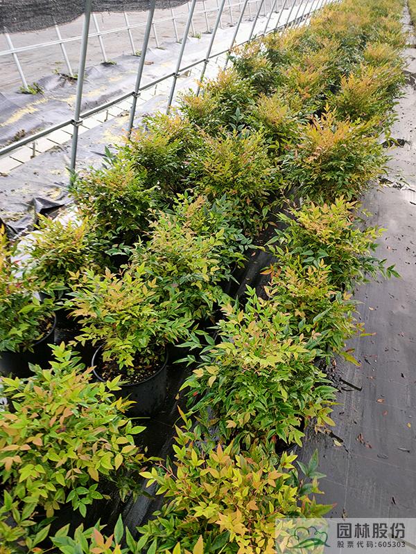 彩运网(中国游)官方网站