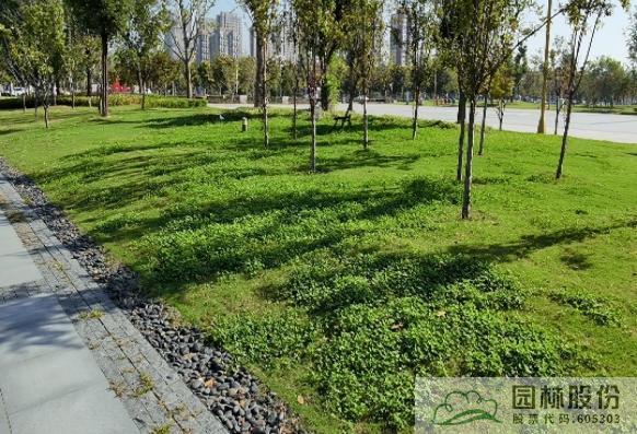 彩运网(中国游)官方网站