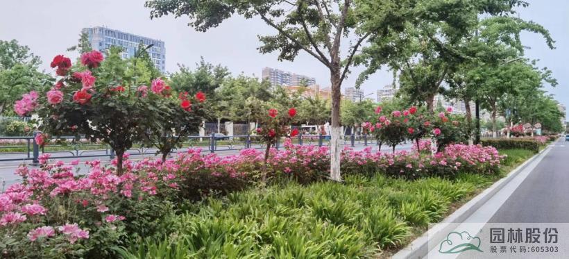 彩运网(中国游)官方网站