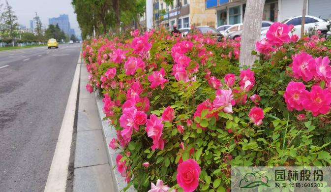 彩运网(中国游)官方网站