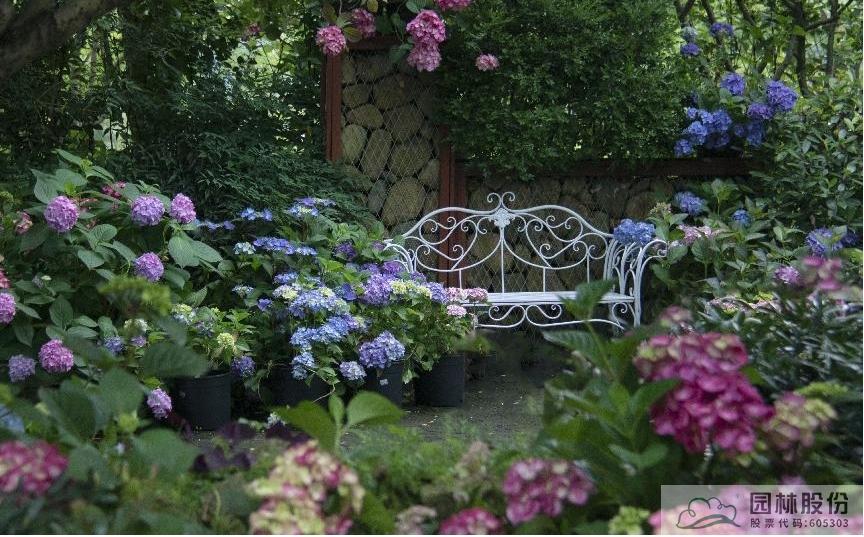 彩运网(中国游)官方网站