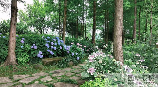 彩运网(中国游)官方网站