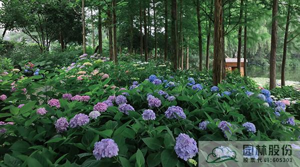 彩运网(中国游)官方网站