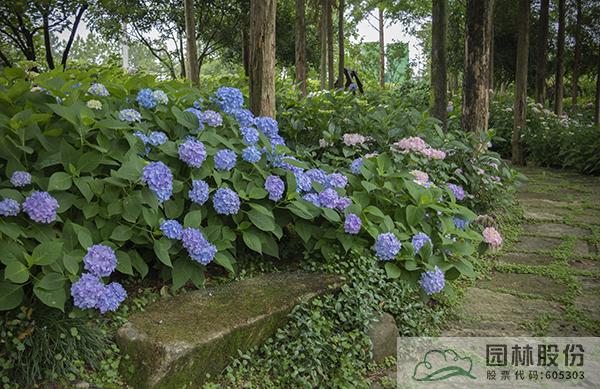 彩运网(中国游)官方网站