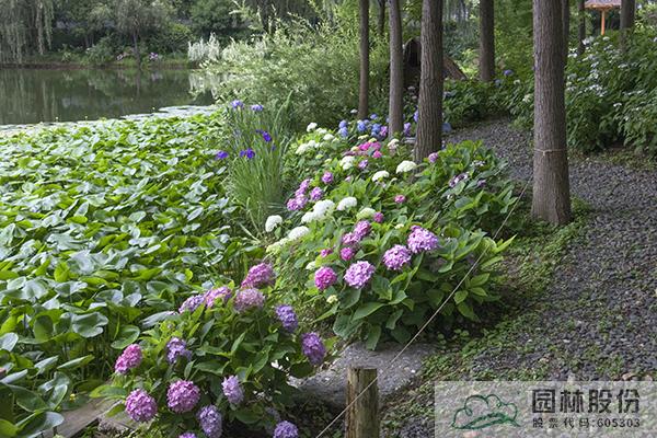 彩运网(中国游)官方网站