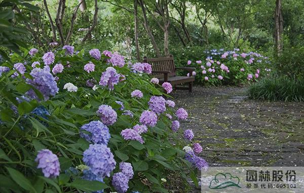 彩运网(中国游)官方网站