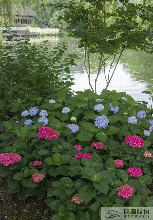 彩运网(中国游)官方网站