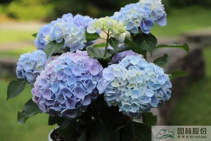 彩运网(中国游)官方网站