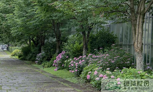 彩运网(中国游)官方网站