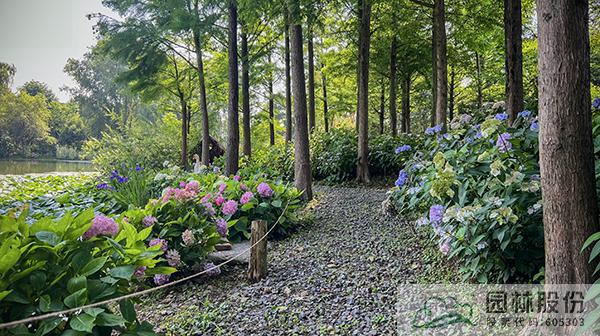 彩运网(中国游)官方网站