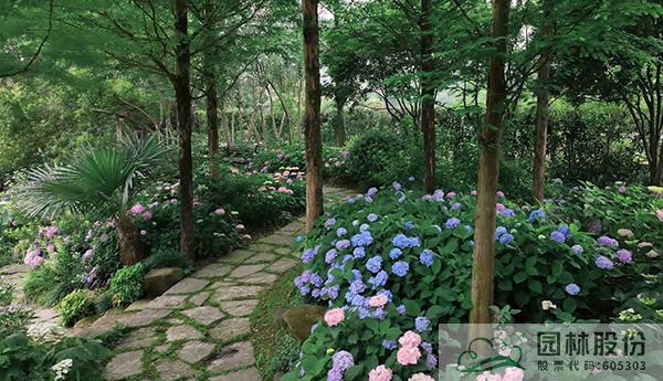 彩运网(中国游)官方网站