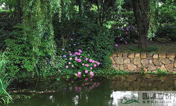 彩运网(中国游)官方网站