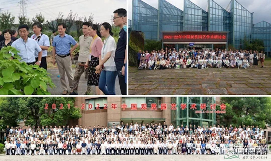 彩运网(中国游)官方网站