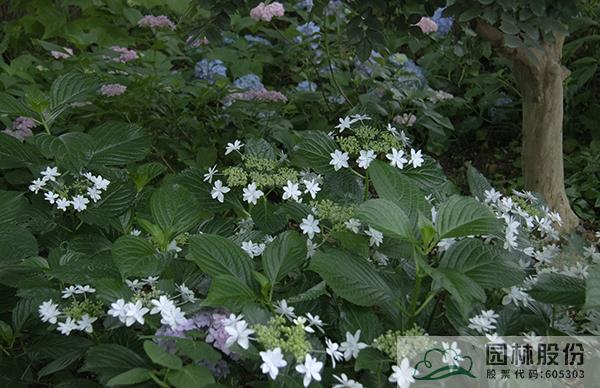 彩运网(中国游)官方网站