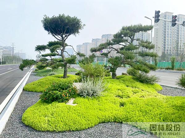 彩运网(中国游)官方网站