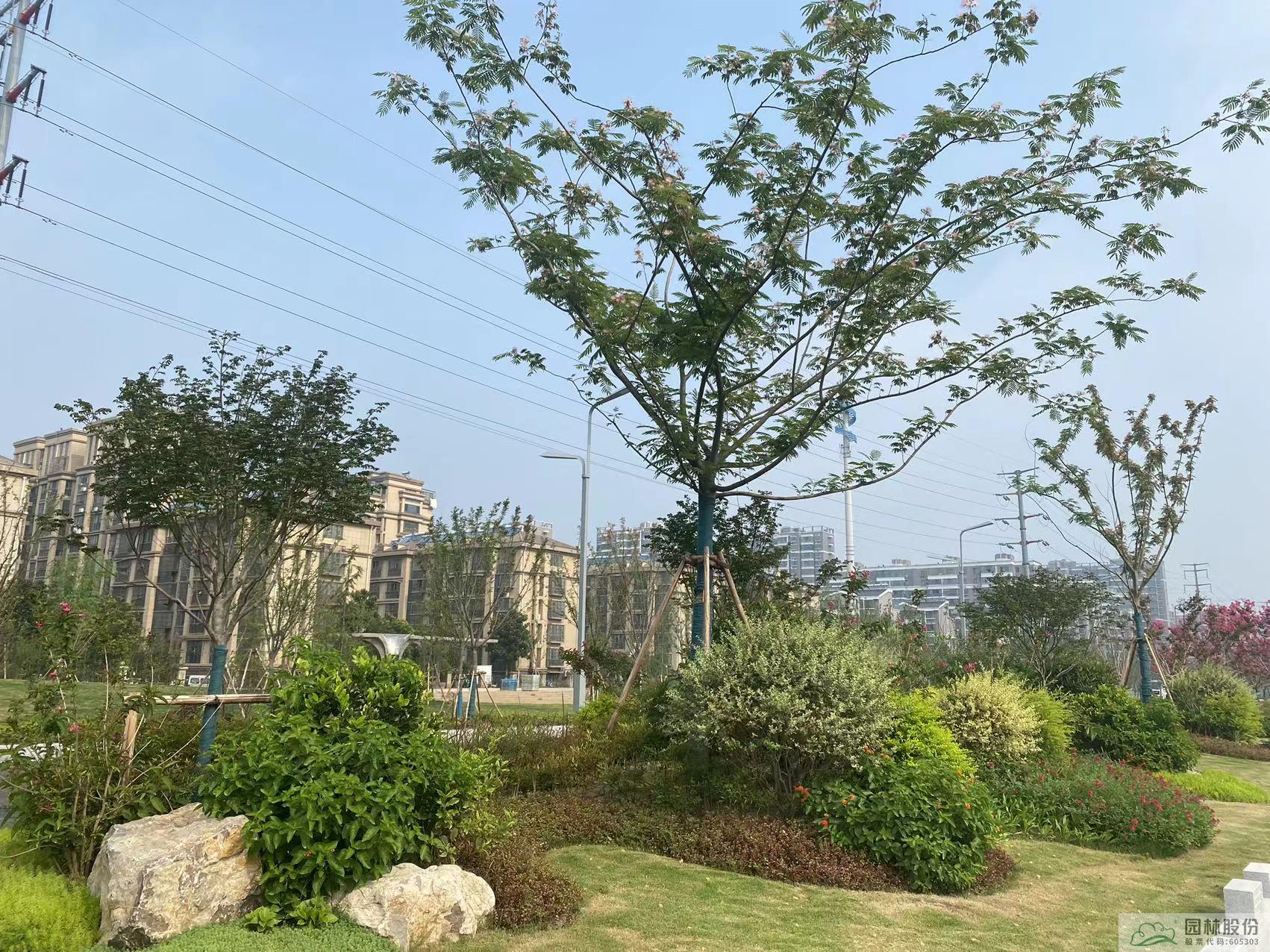 彩运网(中国游)官方网站