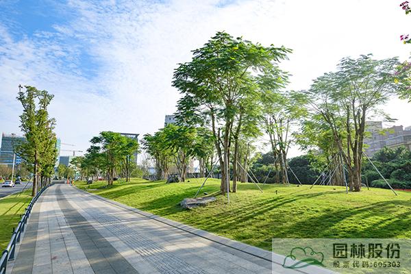 彩运网(中国游)官方网站