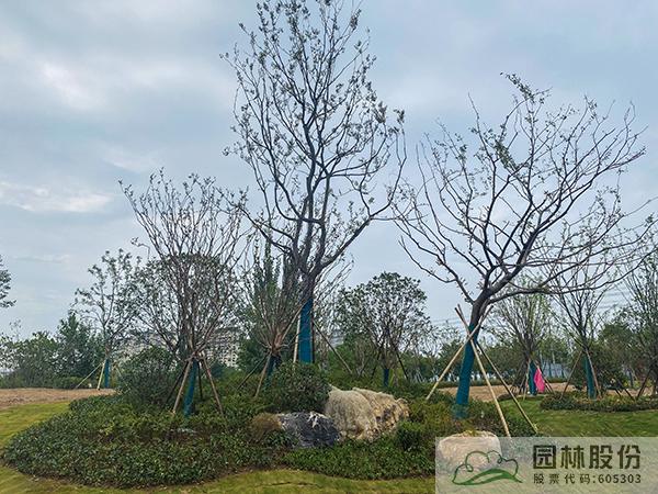 彩运网(中国游)官方网站