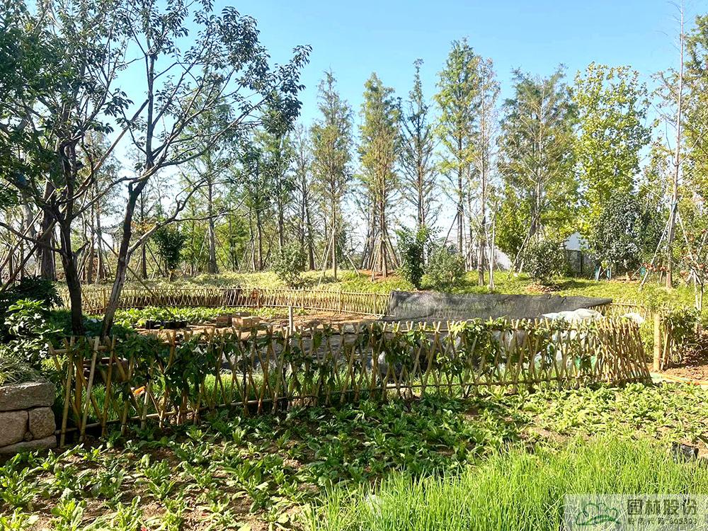 彩运网(中国游)官方网站