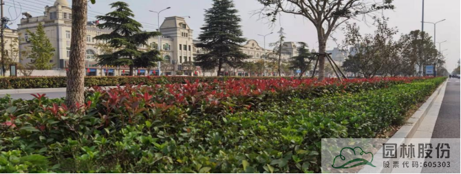 彩运网(中国游)官方网站