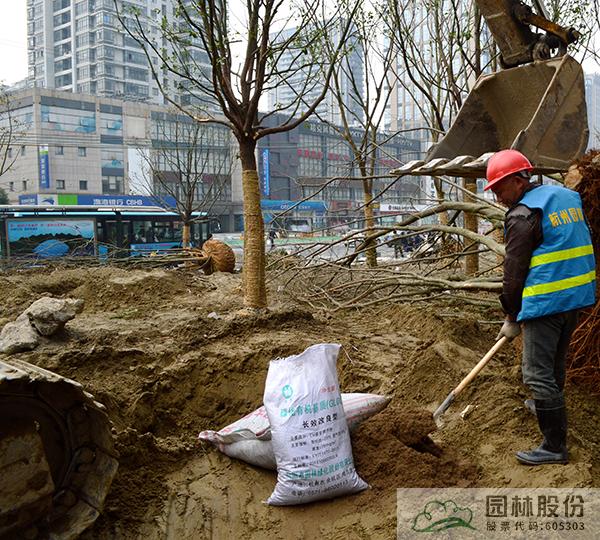 彩运网(中国游)官方网站