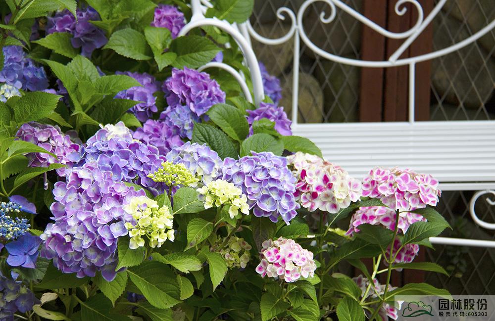 彩运网(中国游)官方网站