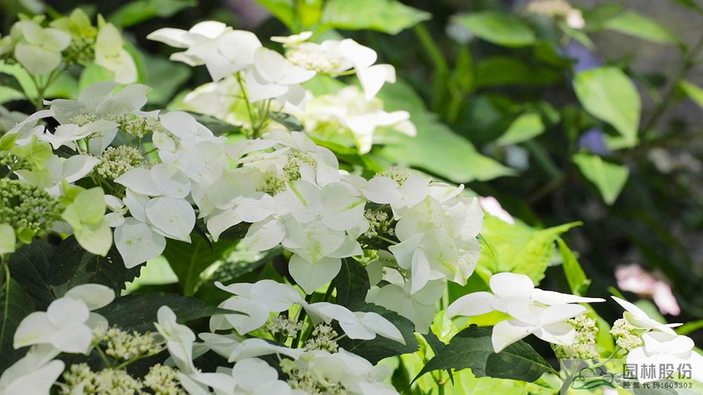 彩运网(中国游)官方网站