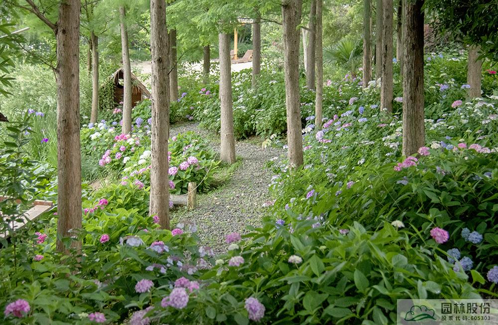 彩运网(中国游)官方网站