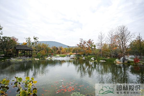 彩运网(中国游)官方网站