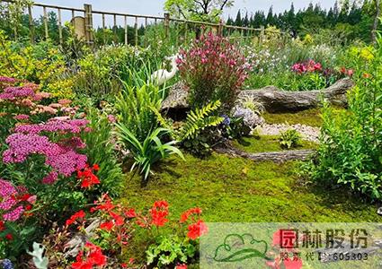 彩运网(中国游)官方网站