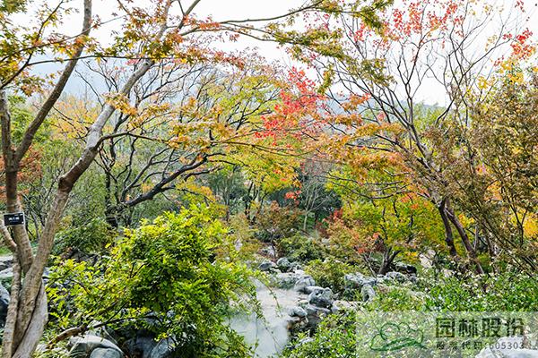 彩运网(中国游)官方网站