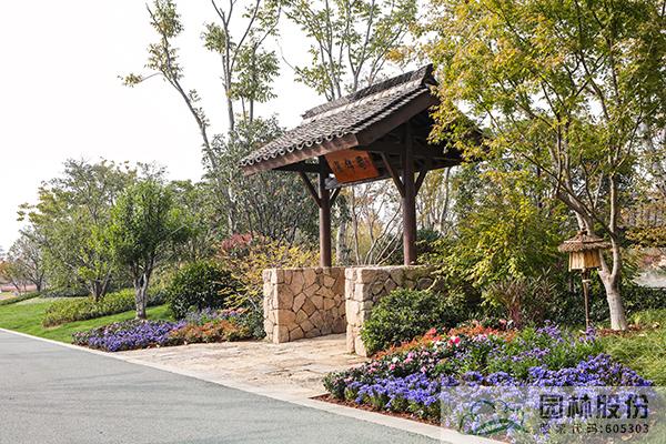 彩运网(中国游)官方网站