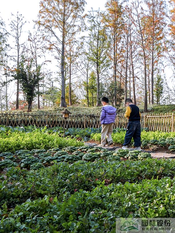 彩运网(中国游)官方网站