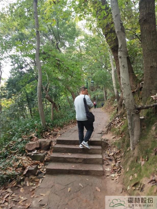 彩运网(中国游)官方网站