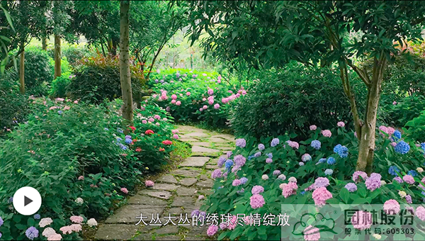 彩运网(中国游)官方网站