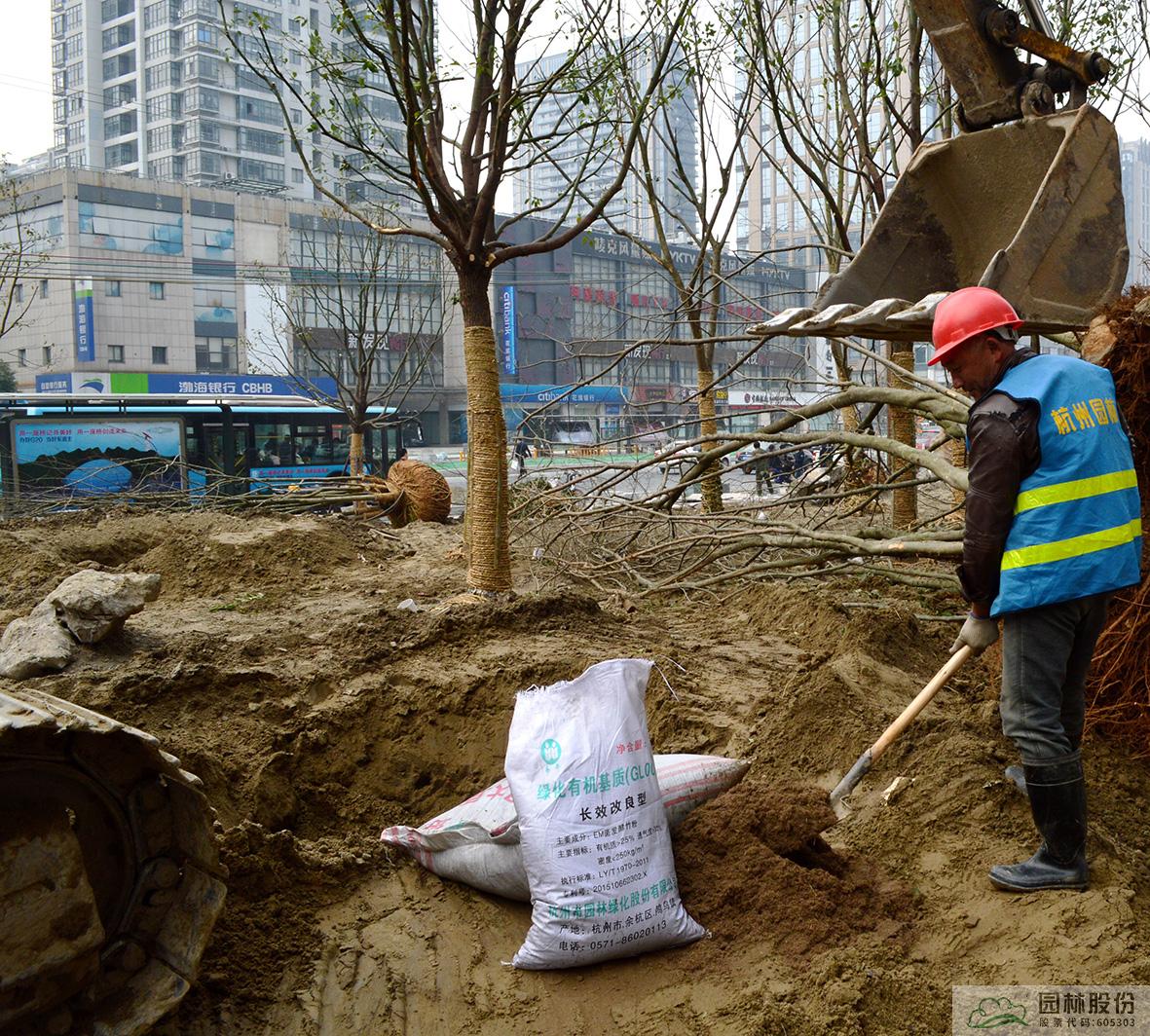 彩运网(中国游)官方网站