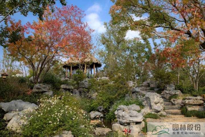 彩运网(中国游)官方网站