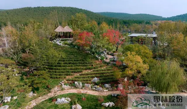 彩运网(中国游)官方网站