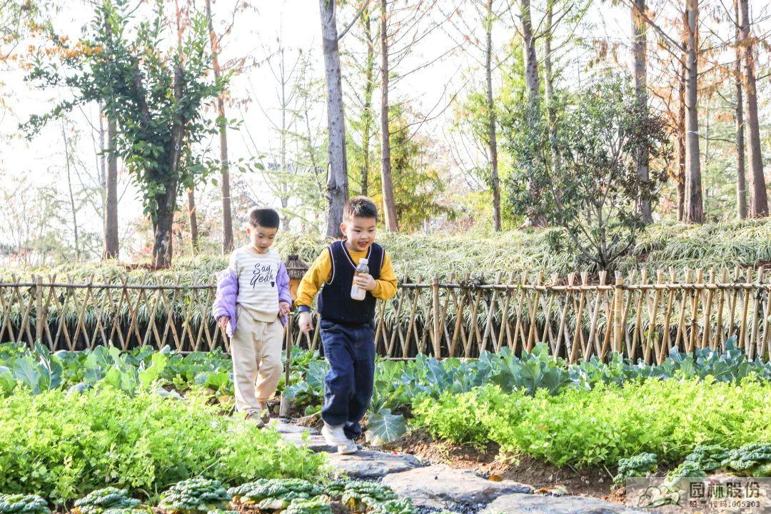 彩运网(中国游)官方网站