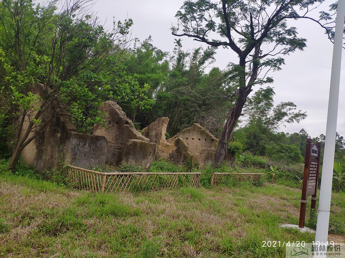 彩运网(中国游)官方网站