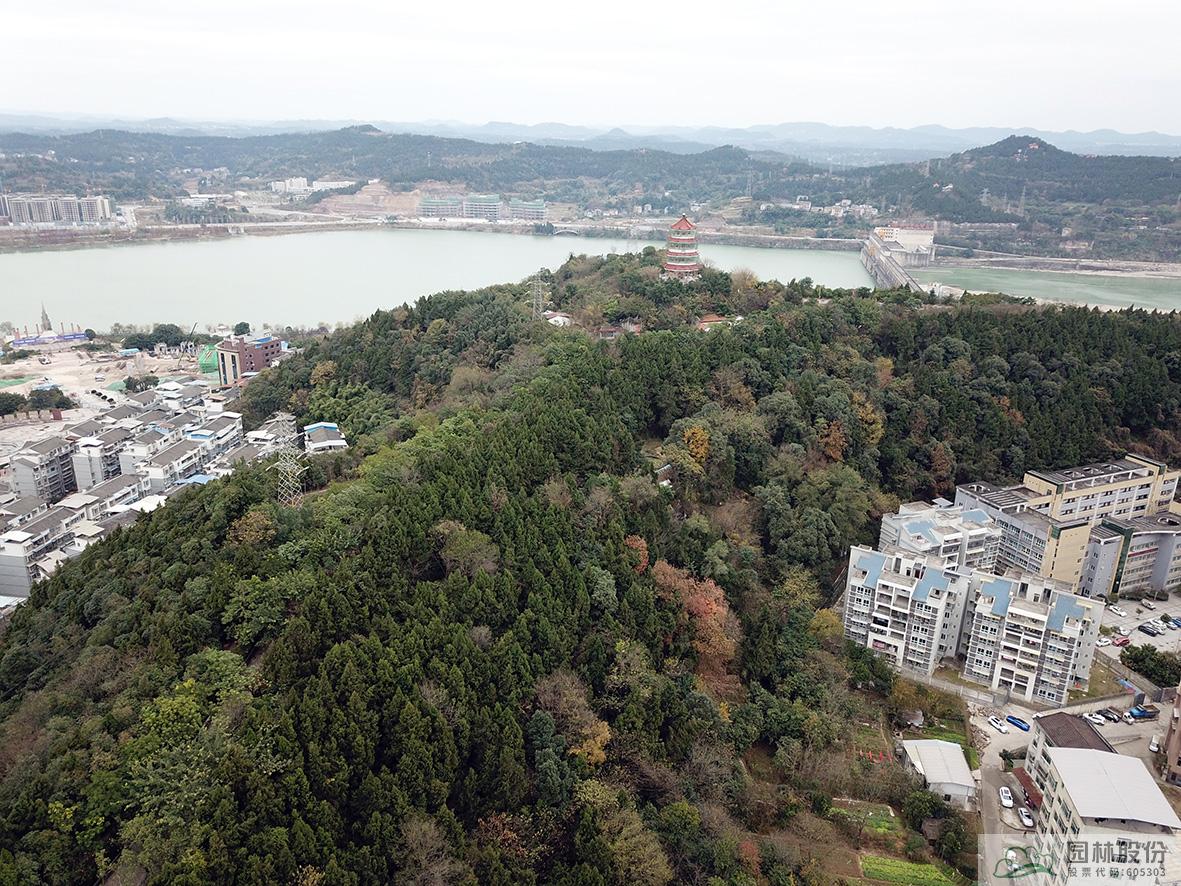 彩运网(中国游)官方网站