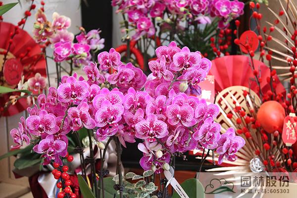 彩运网(中国游)官方网站