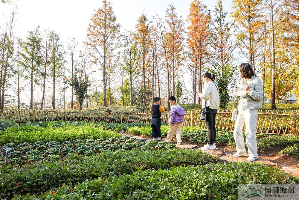 彩运网(中国游)官方网站