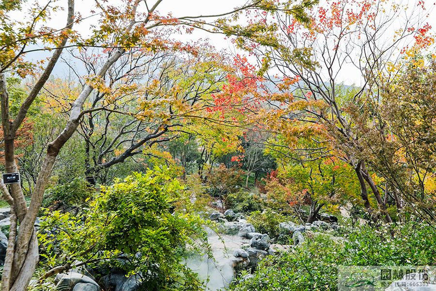 彩运网(中国游)官方网站