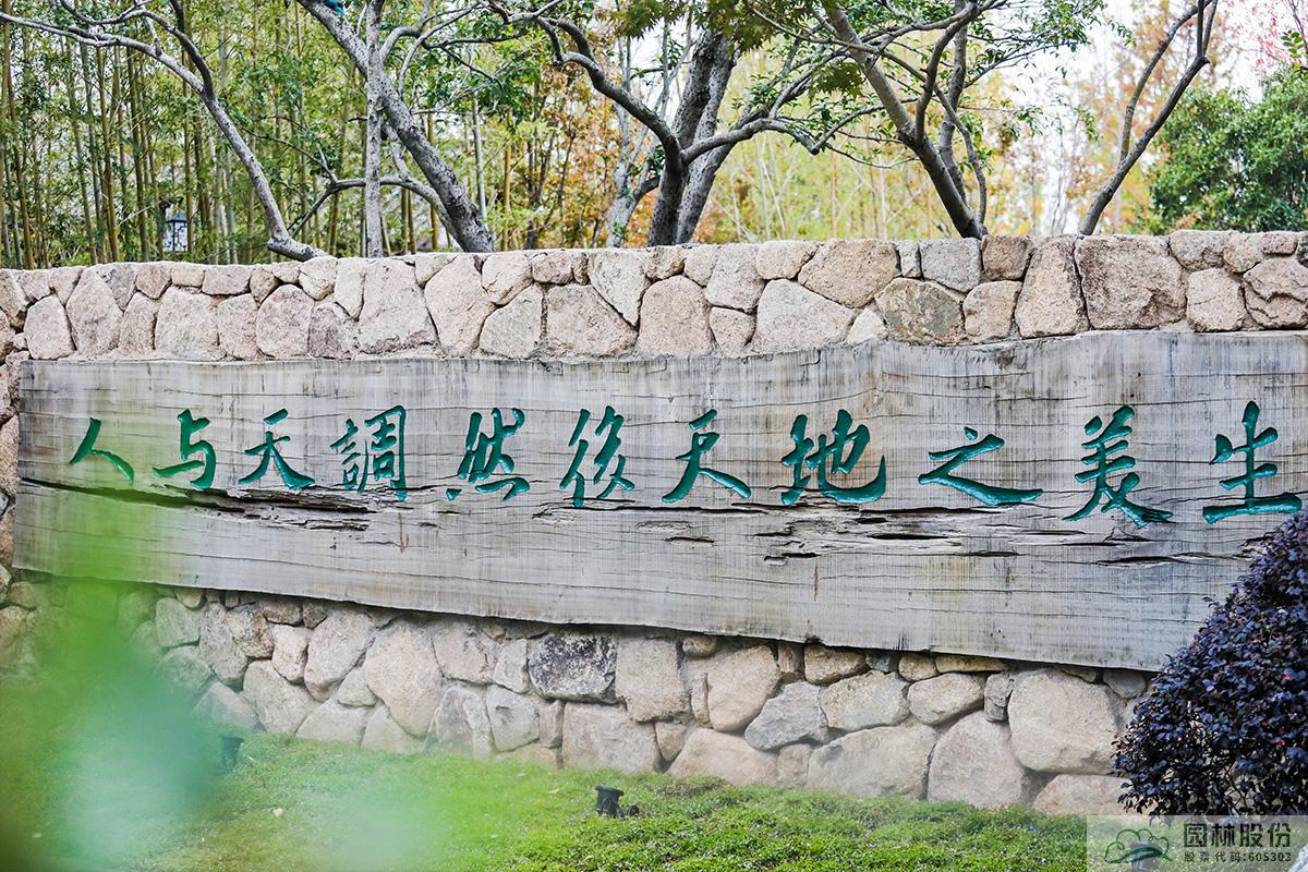 彩运网(中国游)官方网站