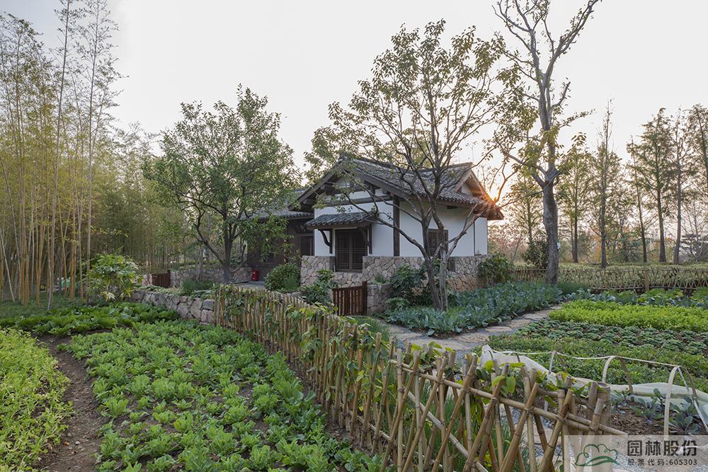 彩运网(中国游)官方网站