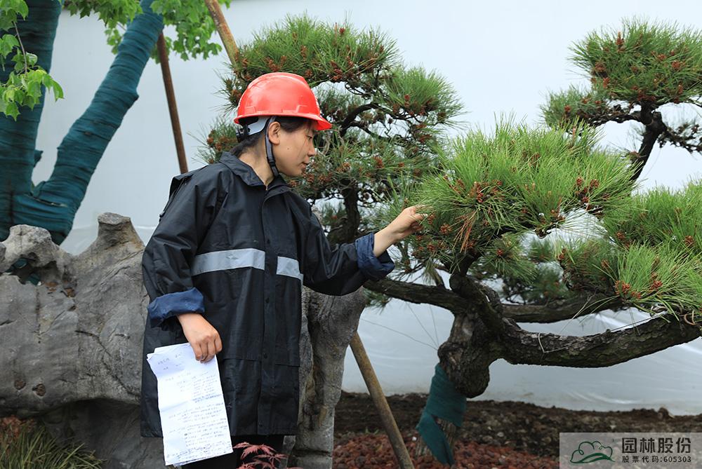 彩运网(中国游)官方网站